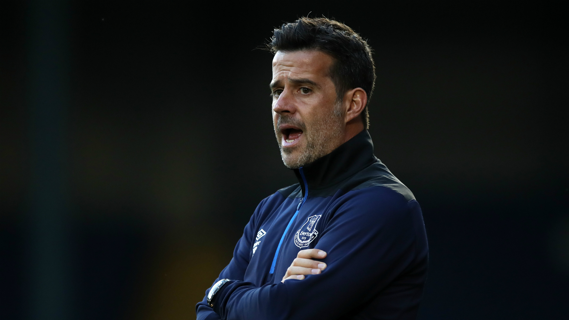 新的活力与 新的活力与